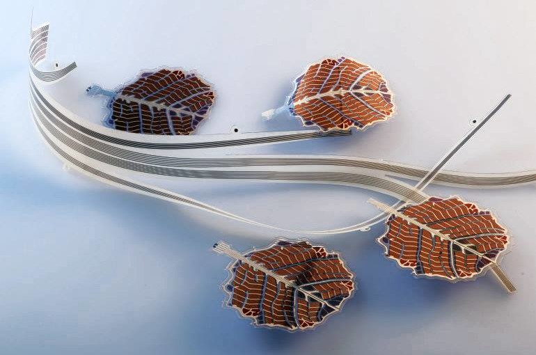За допомогою 3D-друку вчені створили штучні дерева, які виробляють енергію